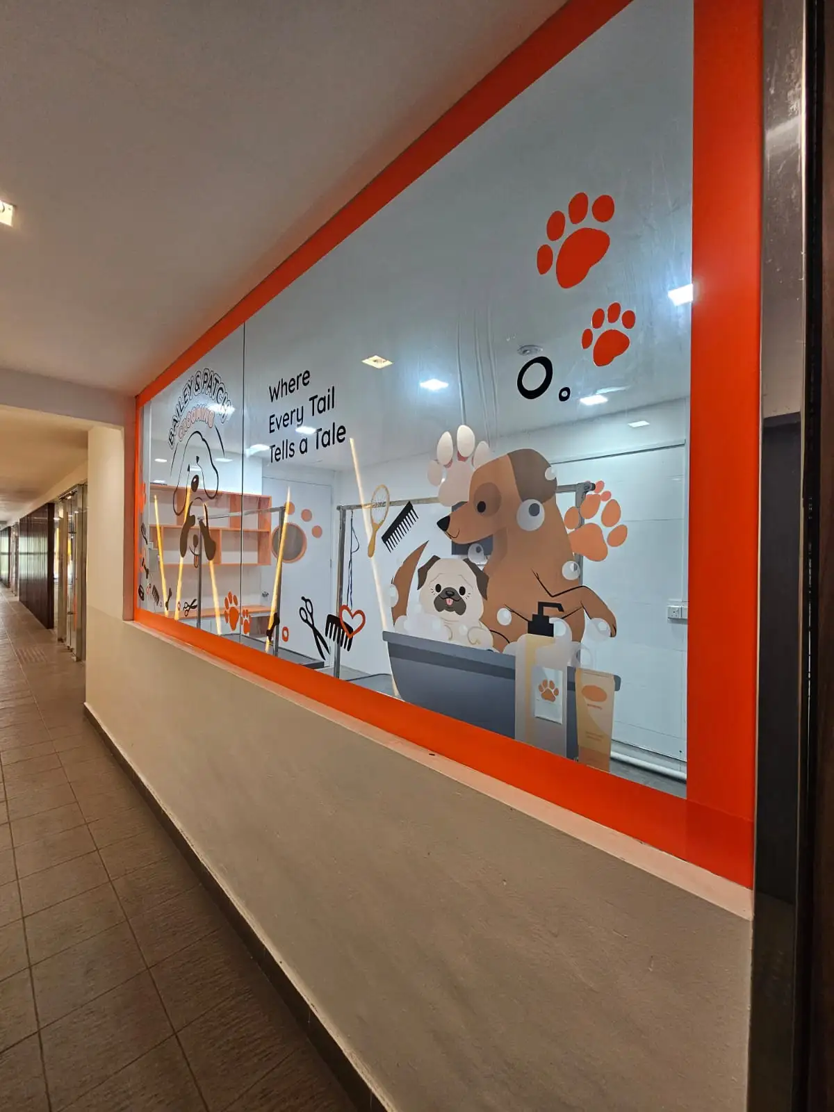 Bailey & Patch Highlight 3